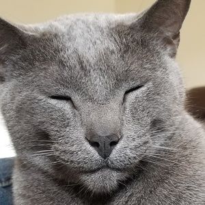 Meet your Posher, Patricia